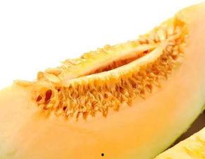 为何吃蜜瓜脸上痒,揭秘为何吃蜜瓜脸上痒的真相