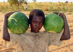 黑人吃辣瓜,黑人文化的独特风味与传承