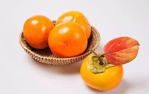 方瓜可以吃柿子吗,能否同食的探讨