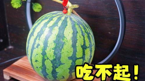 老板给瓜吃,老板慷慨赠瓜，共享美好时光