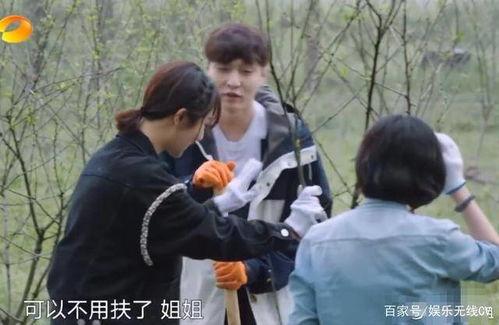 田曦薇吃瓜粉丝,揭秘娱乐圈幕后故事